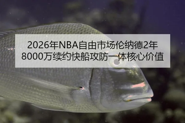 2026年NBA自由市场伦纳德2年8000万续约快船攻防一体核心价值